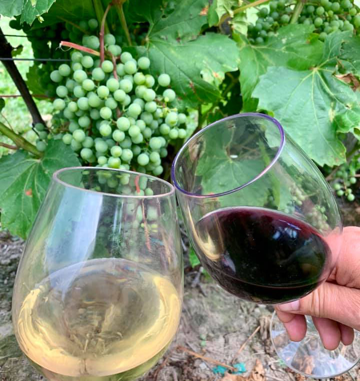 routes des vins - deux verres